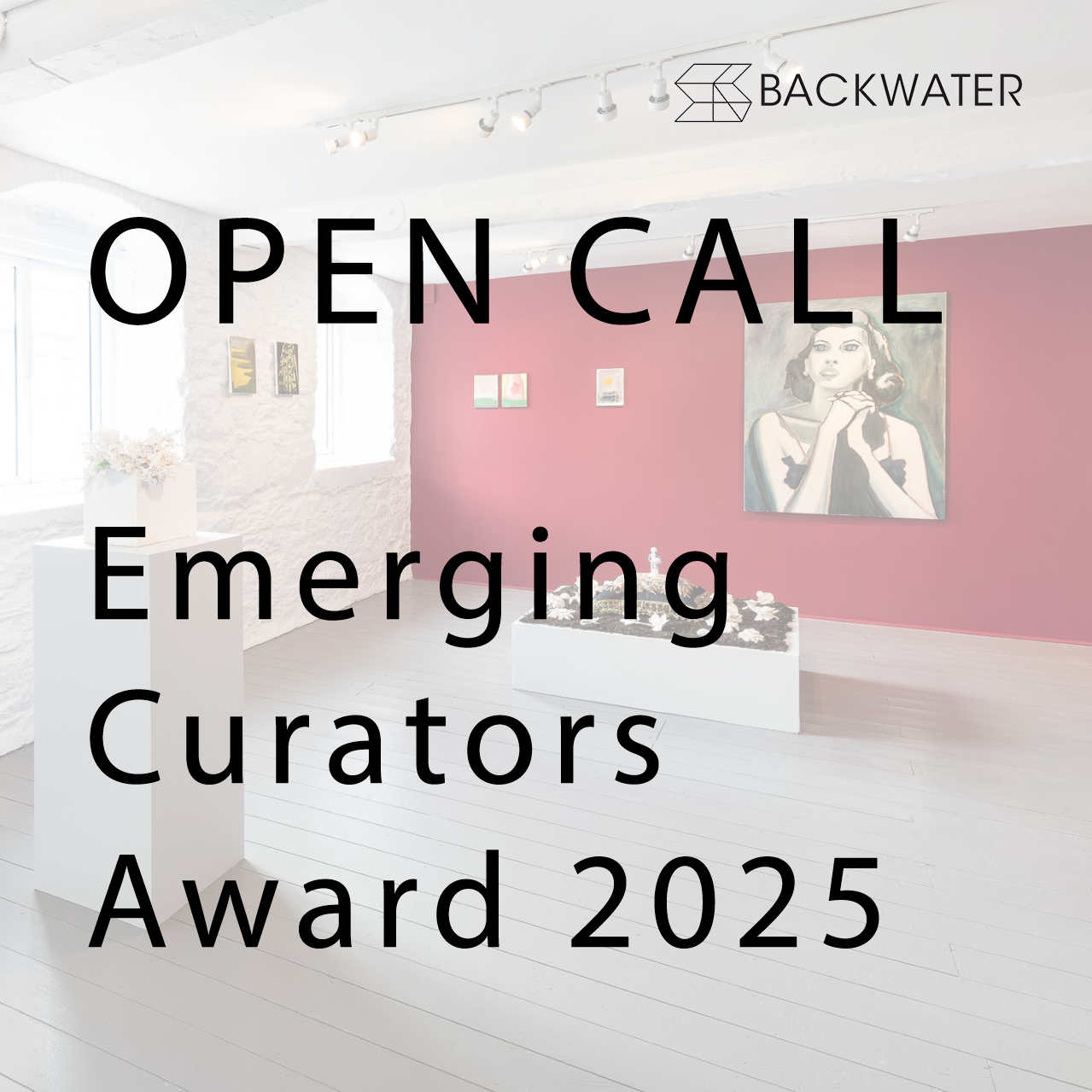 Open Call for Emerging Curators
