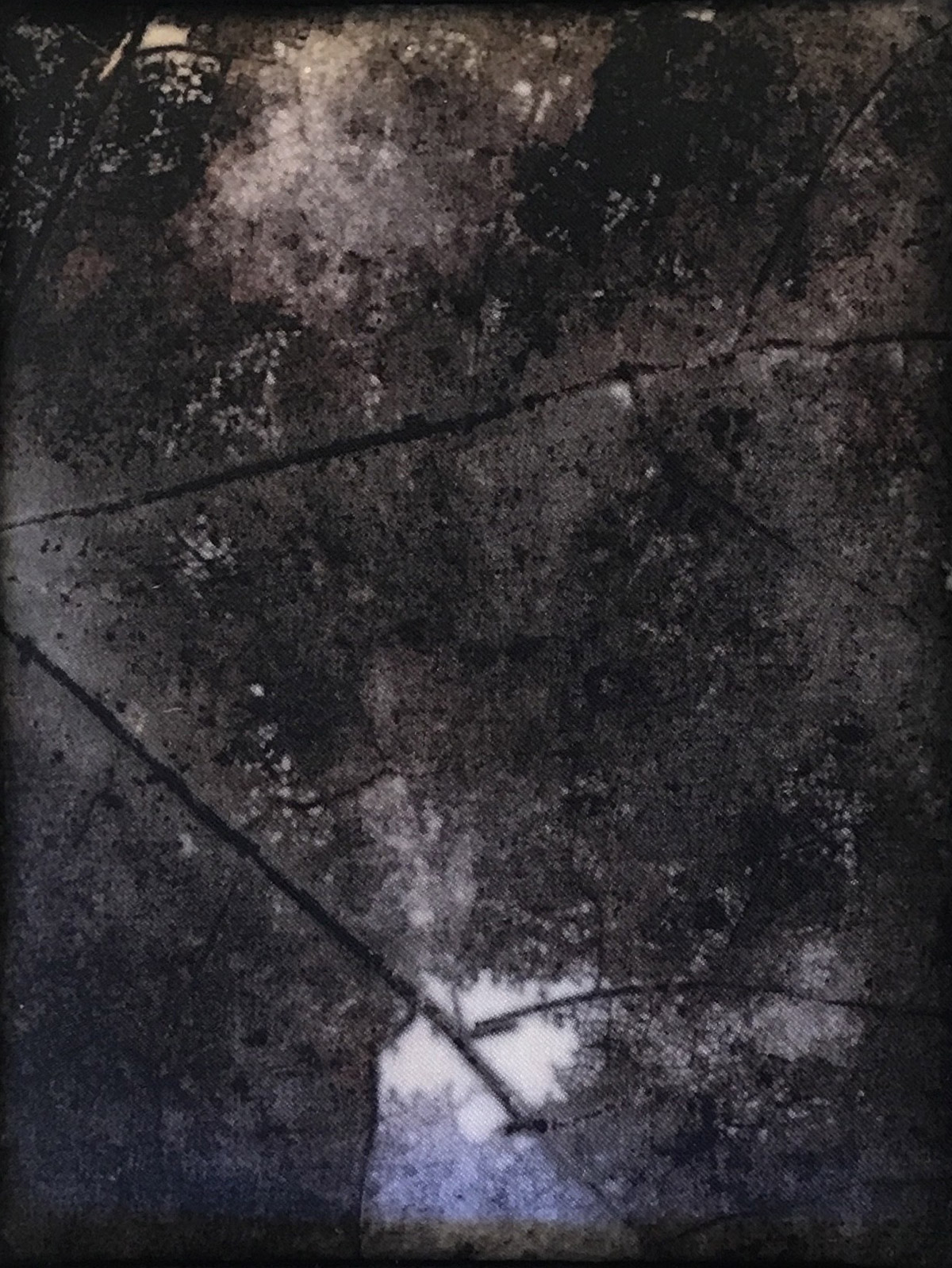 Dissolve | Dee Hurley