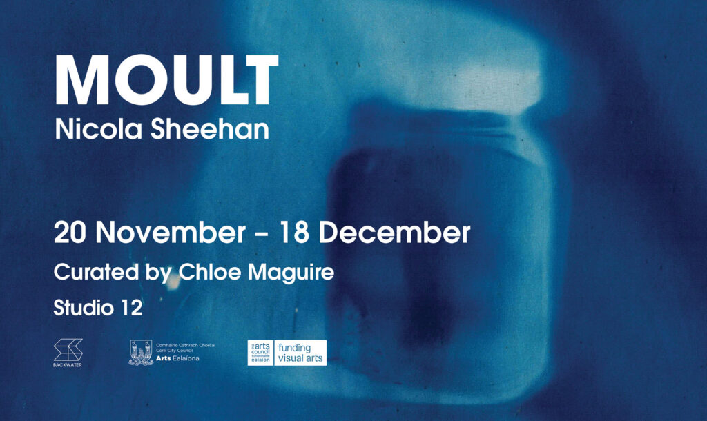 Moult-Website-Graphic-Exhibition1