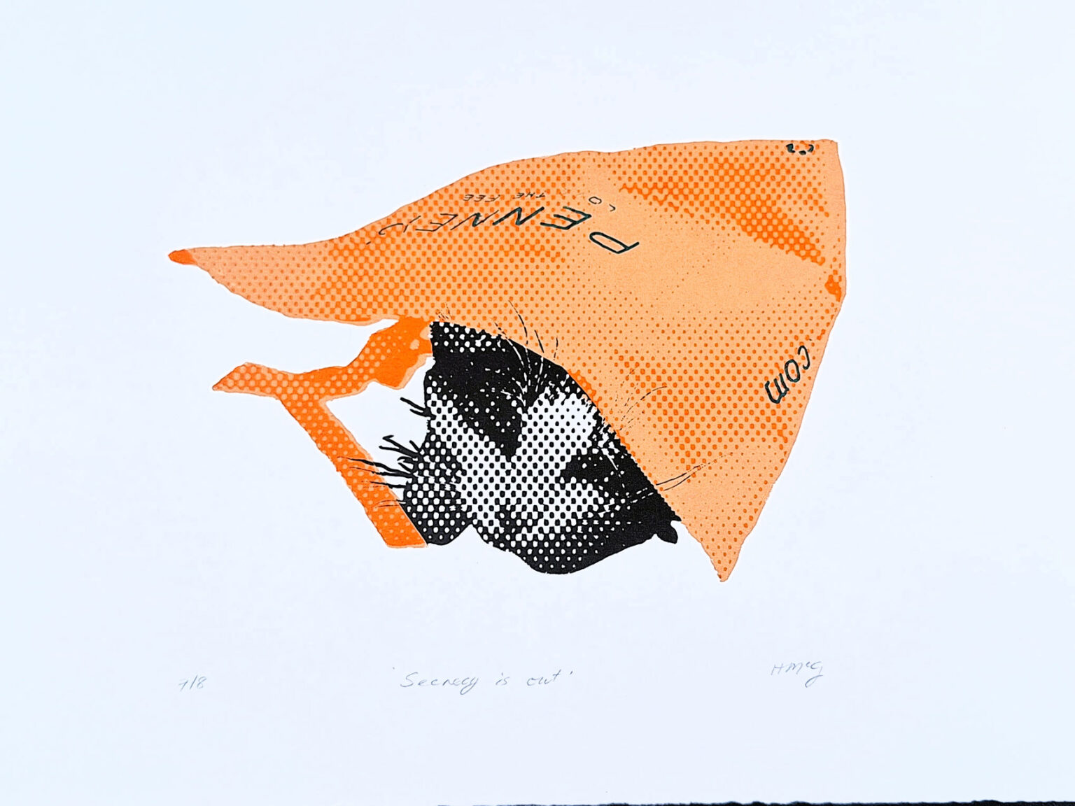 'Secrecy is out' A3 edition 7/8, Screenprint, Ink on Paper